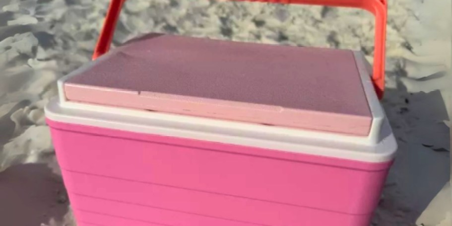 30% Off Target Sun Squad Coolers | Hard-Sided 14-Can Cooler Only $7!