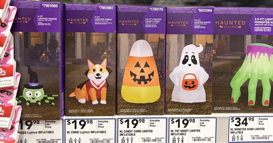 spider, dog, candy corn, and ghost halloween inflatable boxes