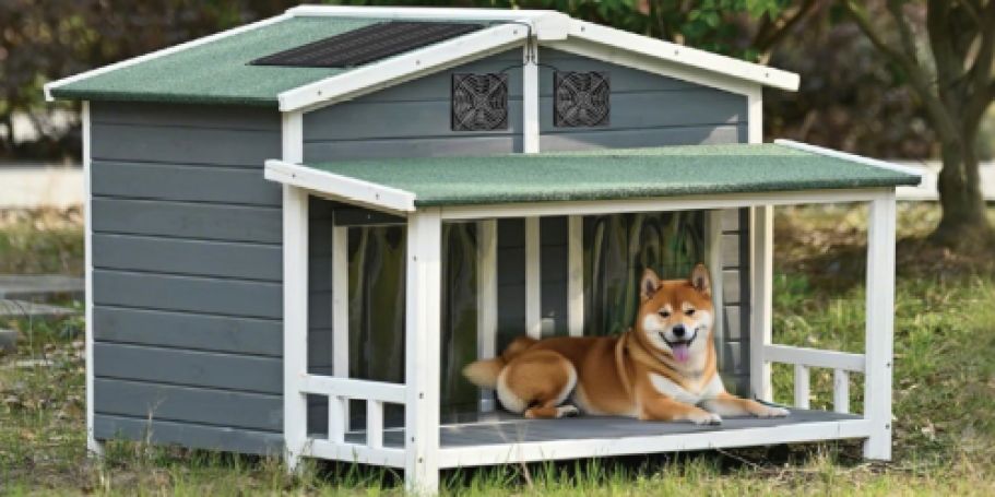 Solar-Powered Fan Kit Just $17.99 Shipped on Amazon | Great for Dog Houses, Sheds & More