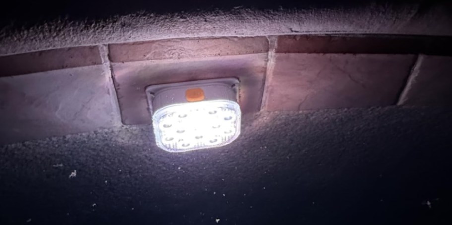 LED Pool Light 2-Pack Only $19.99 Shipped on Amazon | Perfect for Summer Nights!