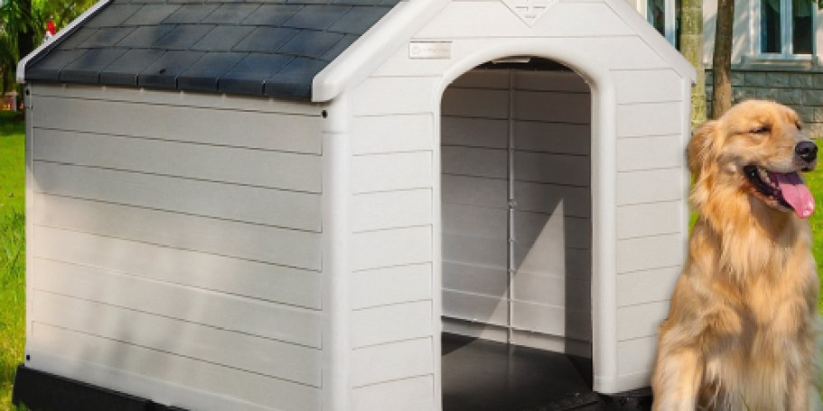 Portable Dog House Just $91.99 Shipped on Wayfair.com