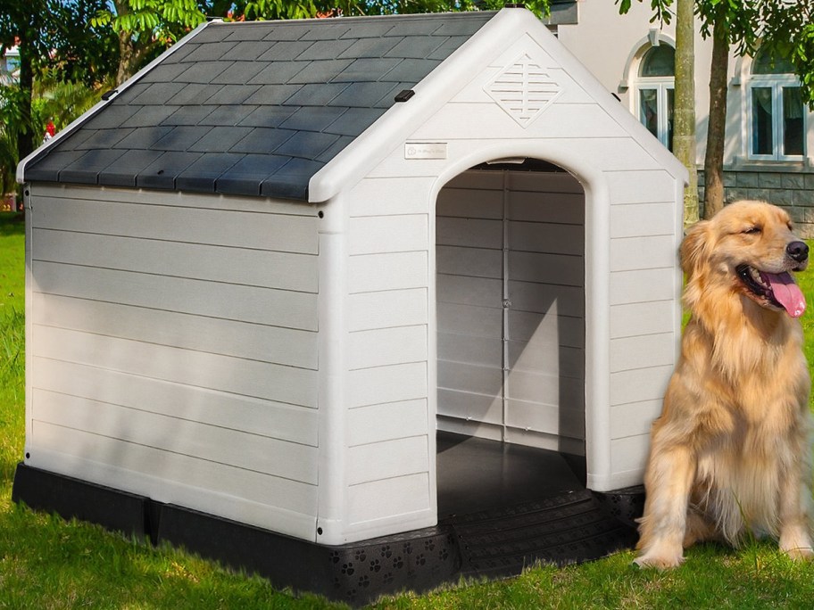 dog next to a white dog house with a gray roof