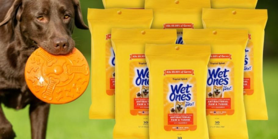 Wet Ones Pet Wipes 8,240-Count Just $14.35 Shipped on Amazon (Reg. $25.29)