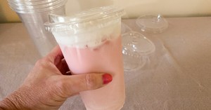 We Finally Found the Viral Dollar Tree Sip Cups! | Hip2Save