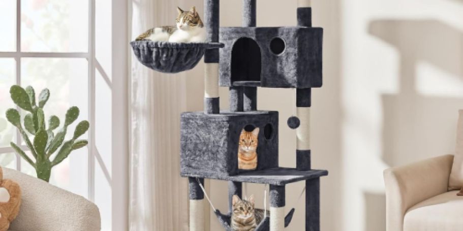 Cat Trees w/ Hammocks, Toys & More from $39.99 Shipped on Amazon