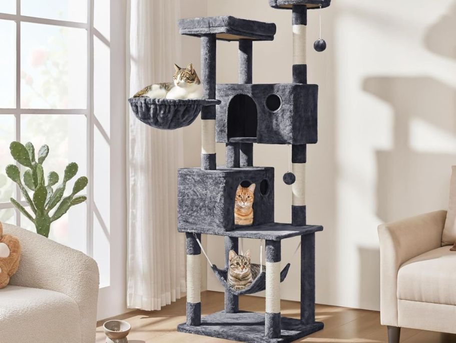 Cat Trees w/ Hammocks, Toys & More from $39.99 Shipped on Amazon