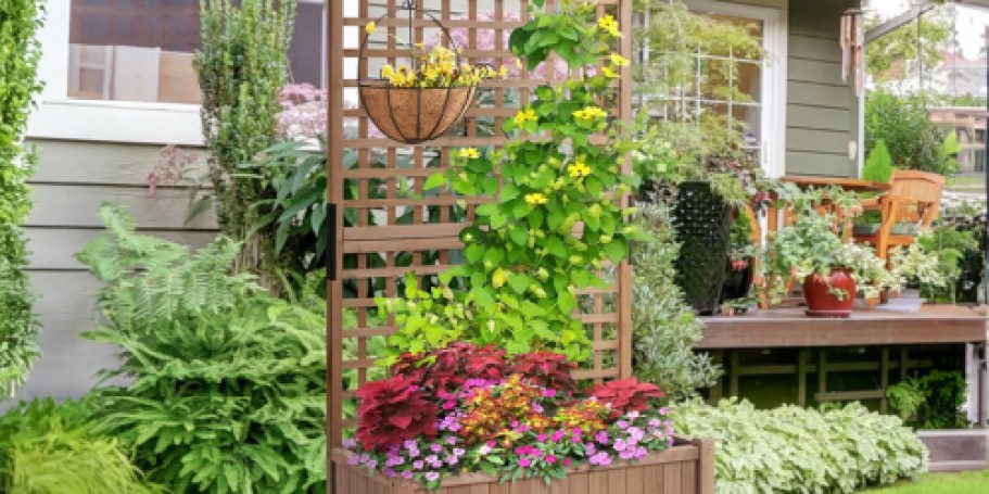 Handmade Planter Box w/ Trellis Only $89.99 Shipped on Wayfair.com (Reg. $221)