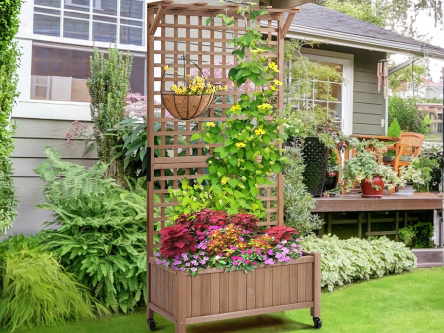 brown planter trellis with flowers growing on it outdoors 
