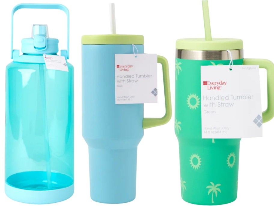 everyday living water bottle and insulated tumblers