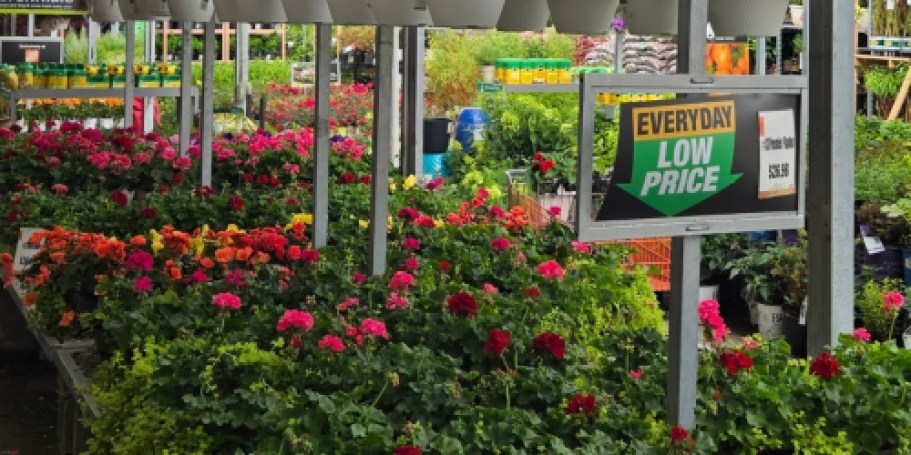 Home Depot’s 4th of July Sale Is LIVE | Save Big on Plants, Tools, Appliances & More