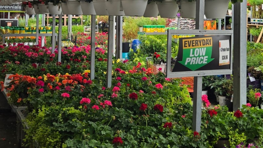 the home depot garden center plant section