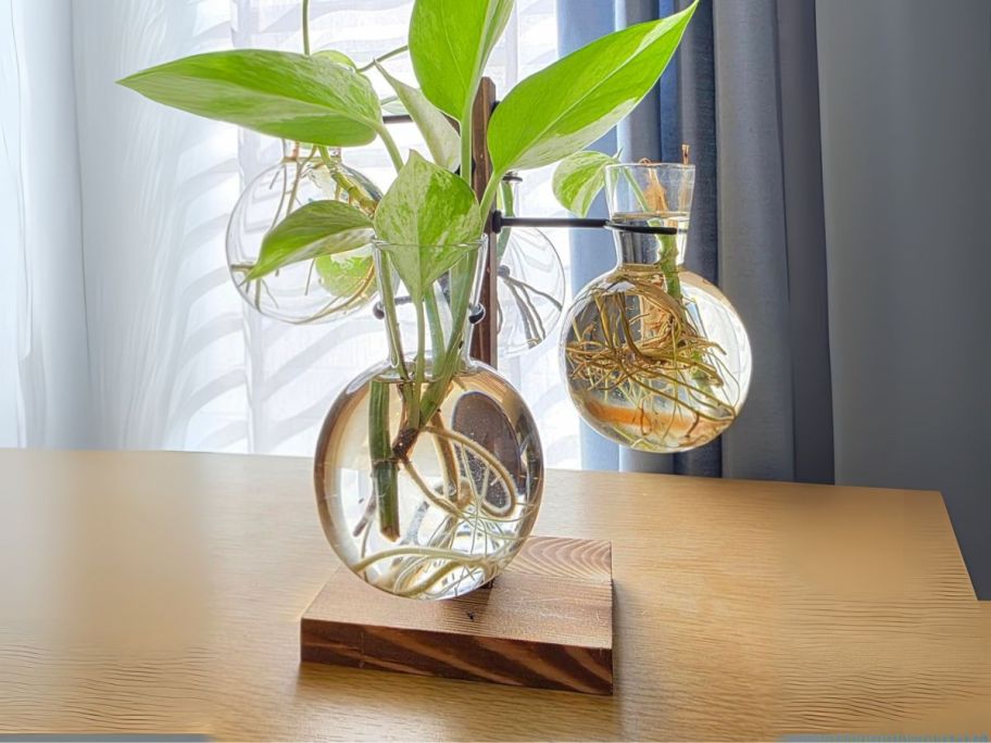 propagation system on a table