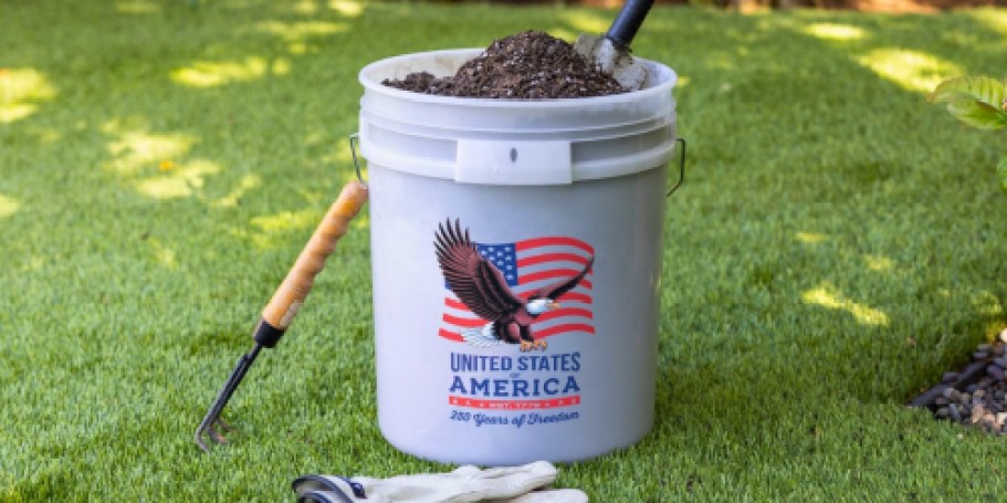 TWO Patriotic 5-Gallon Buckets w/ Lids Just $7.76 at Sam’s Club