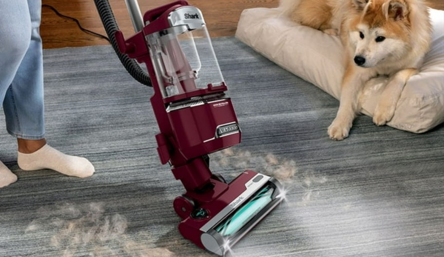 a shark vacuum cleaning up loose dog hair