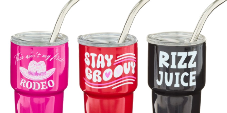 Valentine’s Day Mini Tumblers Just $4.88 on Walmart.com