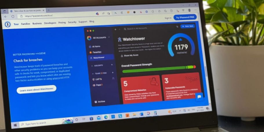 Try 1Password for FREE (+ Score 50% Off A Whole Year of Safe, Easy Password Management)