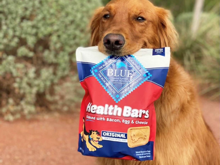 golden retriever holding a bag of Blue Buffalo Health Bars treats