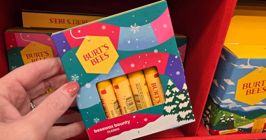 Burt's Bees 4-Piece Lip Balm Gift Set