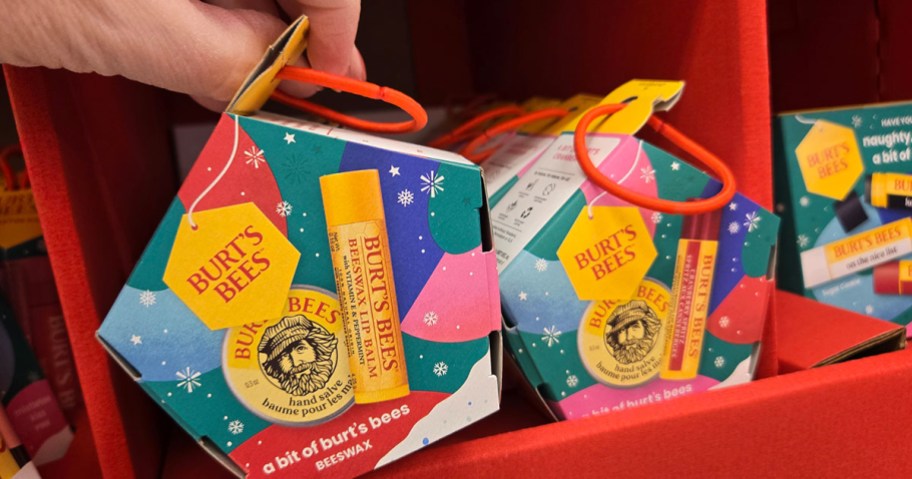 Burt's Bees Bit of Burt's Lip Balm Gift Set