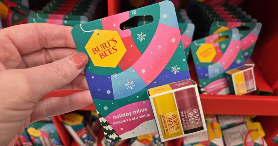 Burt's Bees Mini Lip Balm 2-Pack