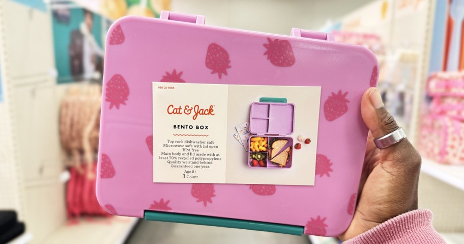 hand holding up a pink strawberry print bento box