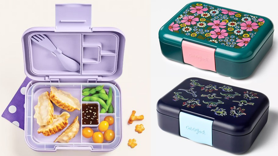 opened bento box with two move next to it