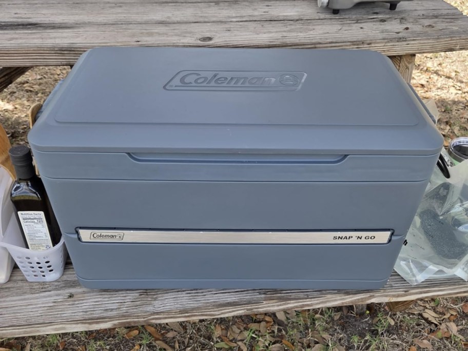 Coleman Snap 'N Go 45-Qt Collapsible Cooler sitting on picnic table bench