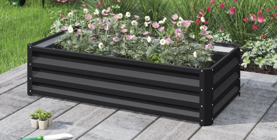 Black metal raised garden bed with pink flowers on patio 