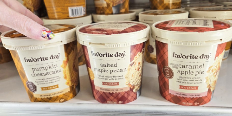 NEW Favorite Day Fall Treats Spotted at Target (Ice Cream, Cheesecake Bites, & More)