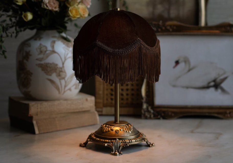 victorian style dark brown lamp with fringe shade on counter