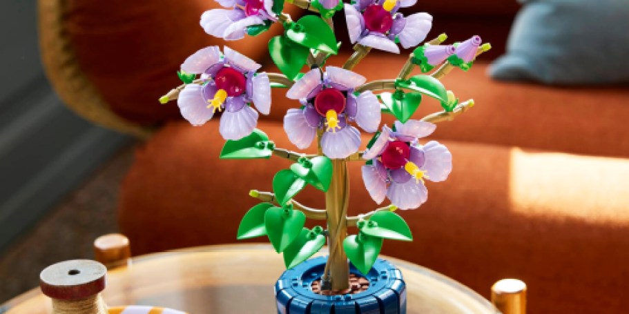 LEGO Botanicals Sets Just $39.99 Shipped on Macys.com (Reg. $70)