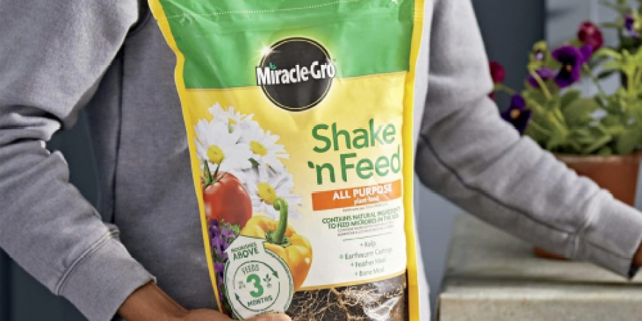 Miracle-Gro Plant Food Only $12 Shipped on Amazon (Reg. $25)