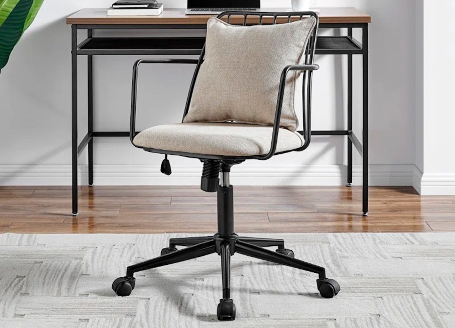 cushioned office chair on rug in office