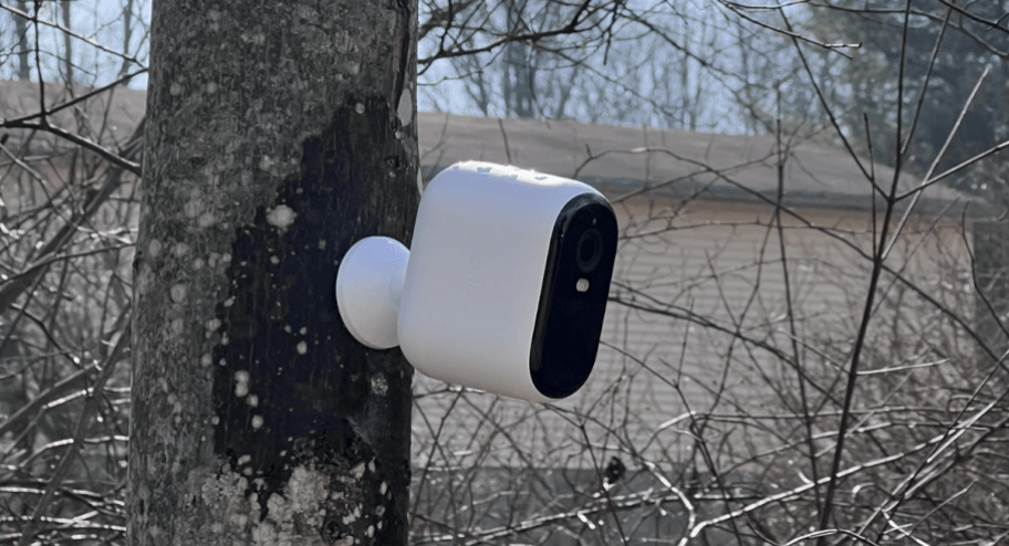 arlo camera displayed outside on a tree