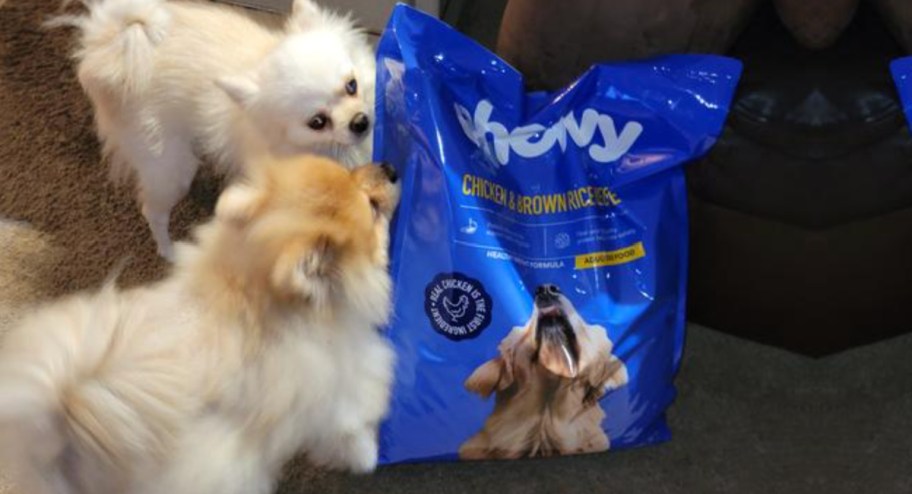 two dogs biting chewy bag dog food