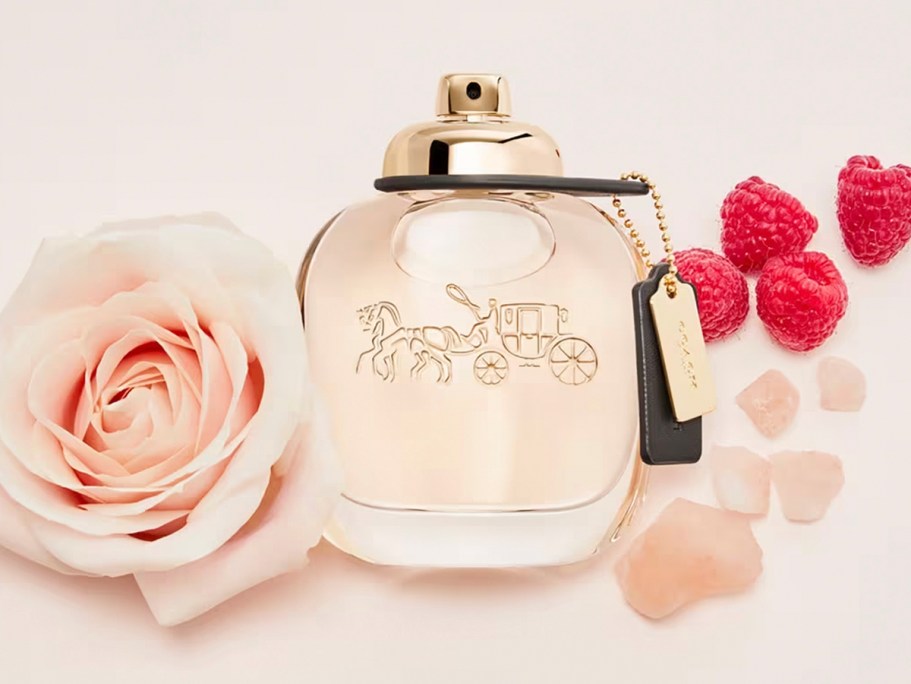 Up to 85% Off Designer Fragrances + Free Prime Shipping | Marc Jacobs, Coach, Gucci & More