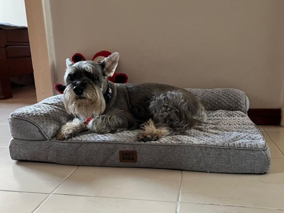 dog laying on grey orthopedic dog bed