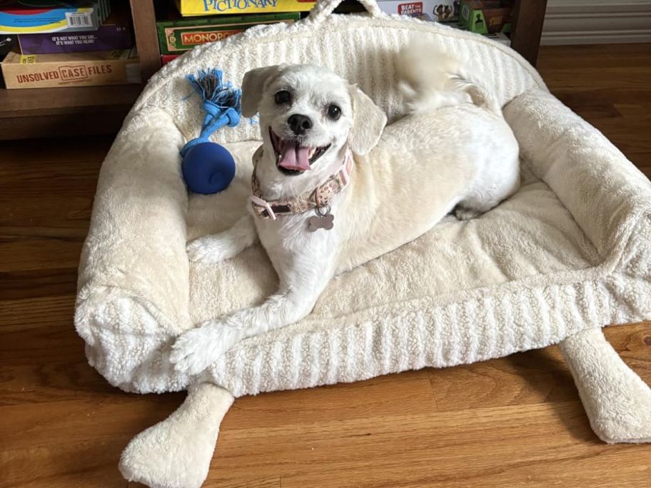 dog laying on cream colored orthopedic dog bed