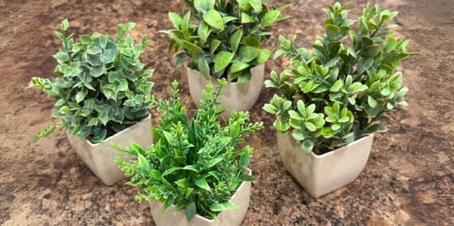 Mini Artificial Potted Plants 4-Pack Just $9.99 on Amazon (Reg. $18)