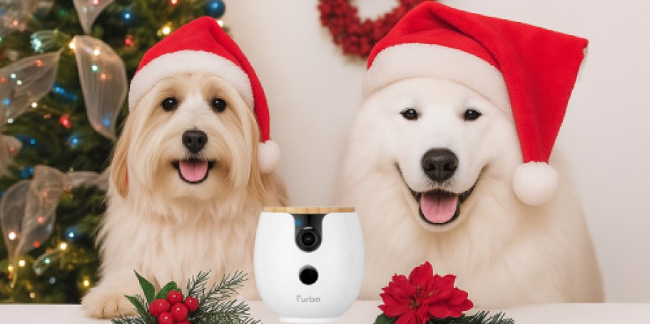 Price Drop: Furbo Pet Cameras & Treat Dispensers From $20 on Amazon