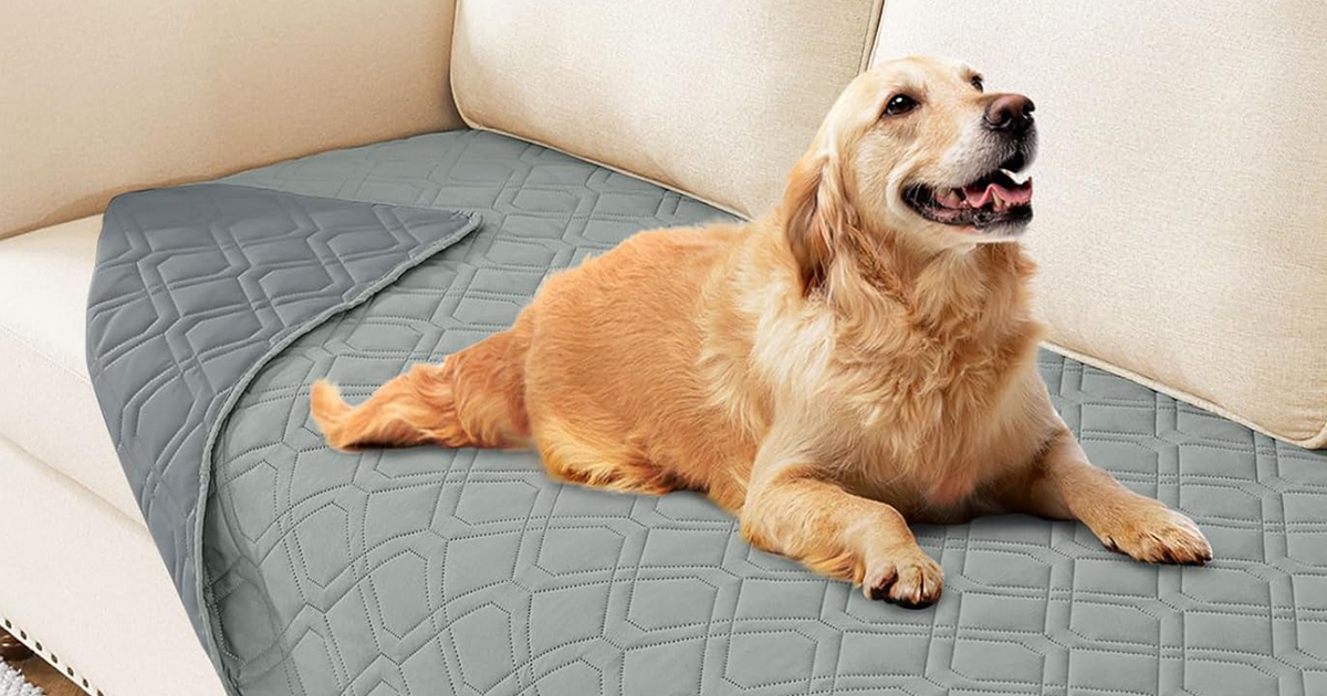 Waterproof Dog Blanket Only $6.99 On Amazon
