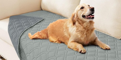 Waterproof Dog Blanket Only $6.99 On Amazon