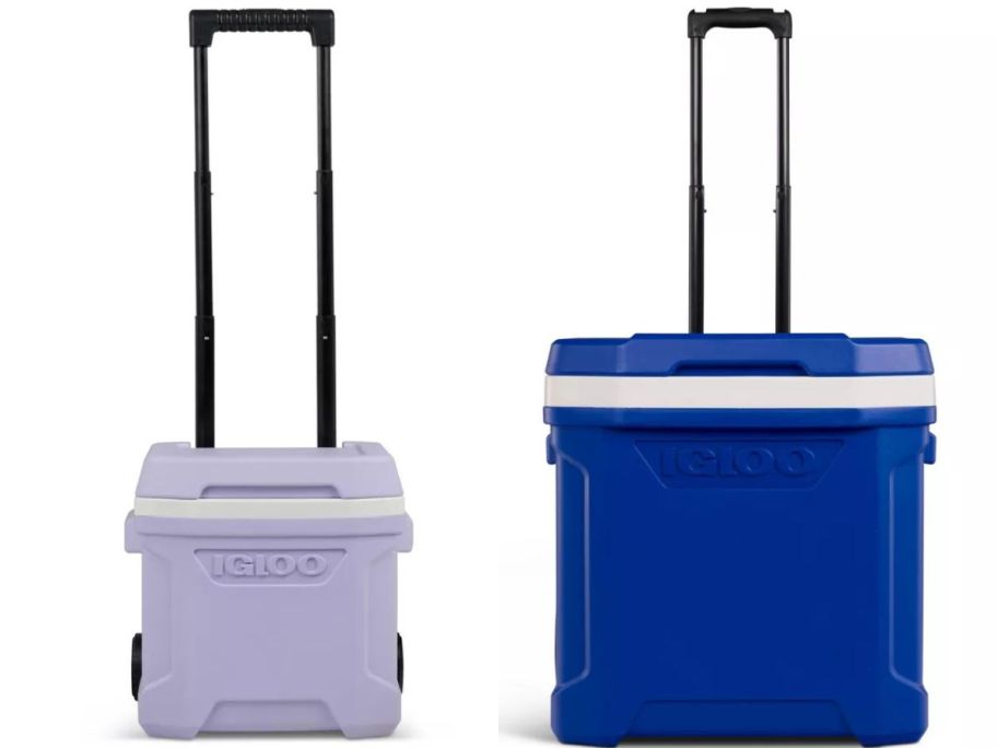 a purple and blue rolling cooler