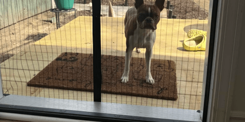 Magnetic Screen Door Just $10.44 Shipped w/ Amazon Prime (Reg. $28)