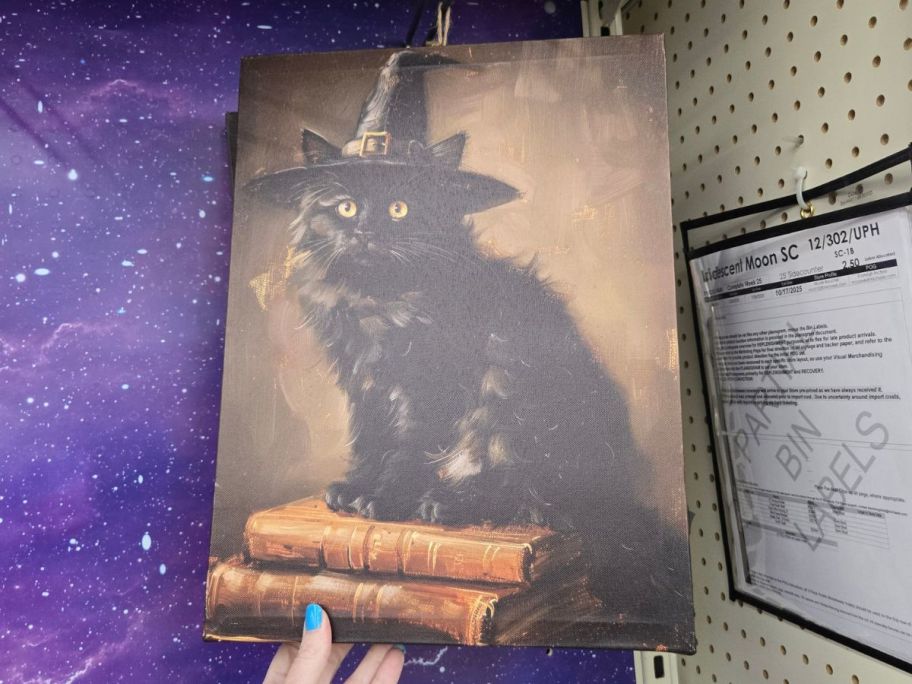 Witch Cat LED Wall Decor in hand in store