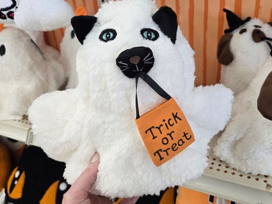 Ghost Black Cat Pillow in hand in store