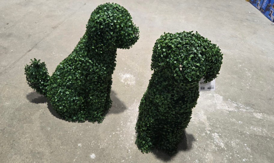Two green topiary sculptures shaped like dogs sit on a concrete floor. They have a bushy texture.