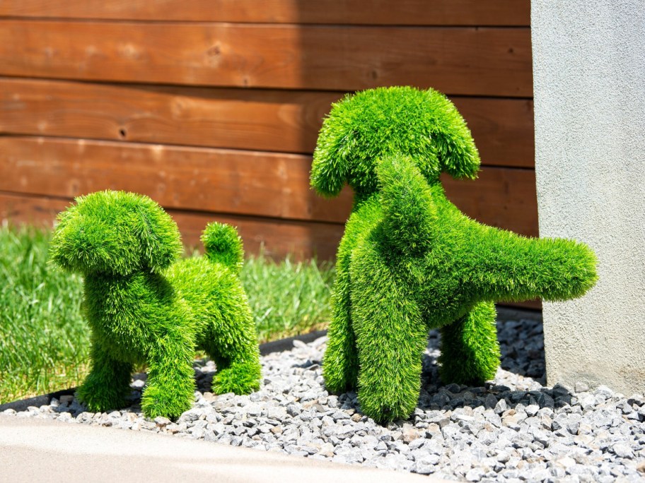 Two dog-shaped topiaries, made of vibrant green grass, stand on pebbles in a sunlit garden. A wooden fence and concrete pillar are in the background.