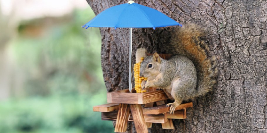 Squirrel Feeder Table Just $9.89 Shipped for Prime Members