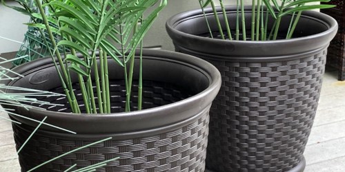 Large Suncast Planters 2-Pack Only $29.80 Shipped on Wayfair.com (Reg. $70)